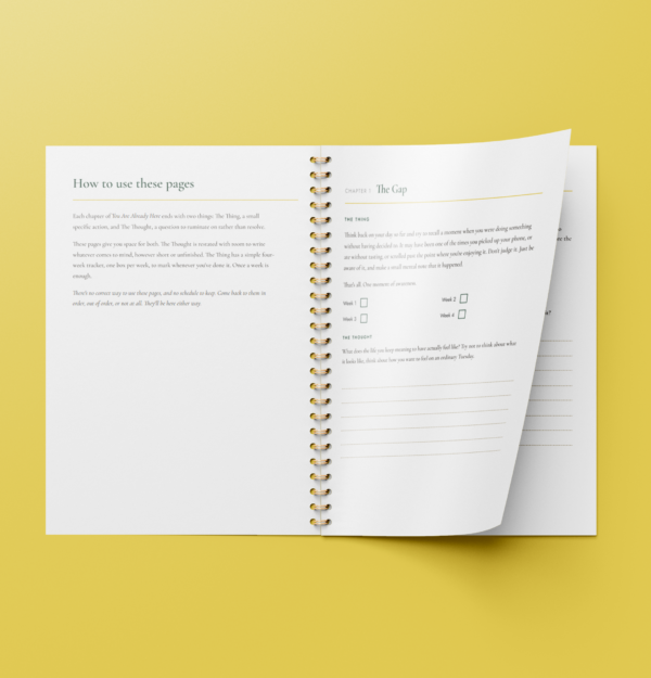 You Are Already Here - Chapter Work Pages